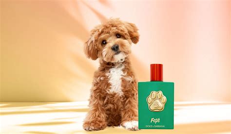 dog perfume fake designer|dog scents for sale.